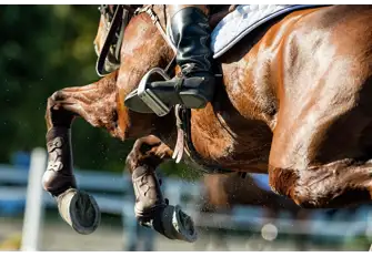 The equestrian thrills continue with the Longines Global Champions Tour in June