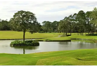 The Sawgrass course's famous 17th hole, the 'island green'&nbsp;
