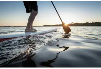 Explore the show by paddleboard