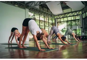 Whatever philosophy of yoga you follow, you'll find a devotee here