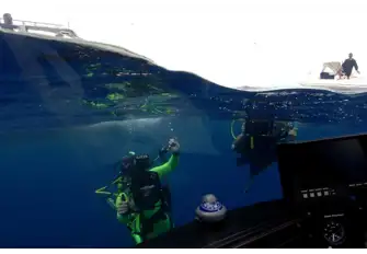 Every deep dive allows for a new discovery and experience