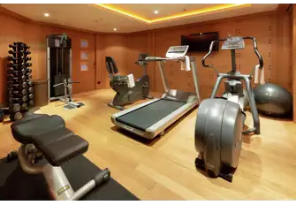 The lower deck wellness centre includes a gym...