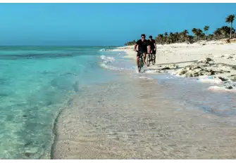 Explore ashore and enjoy the best of all possible worlds