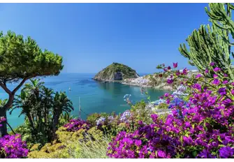 Islands of plenty