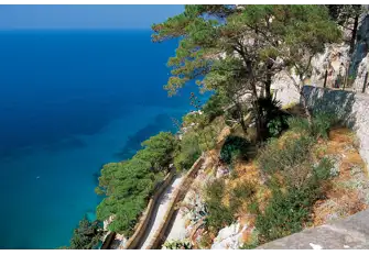 Islands of plenty