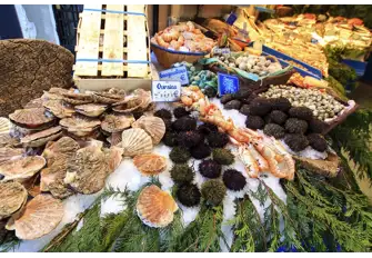 You'll find exceptional seafood too