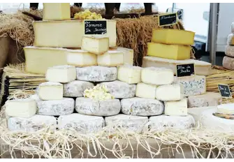 A selection of cheeses from the French Alps