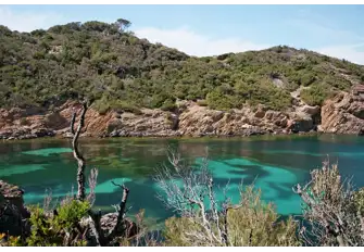 Ile de Port-Cros is a marine reserve of the south coast of France