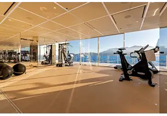 On the port side, opposite the swimming pool, is a vast gym with a sea terrace&nbsp;