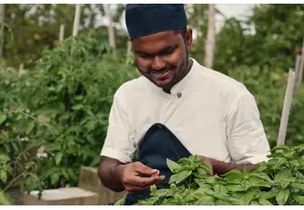 Organic produce is grown in the island's garden