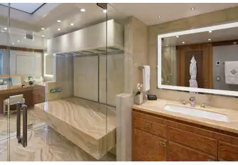 Therapeutic Vichy shower with natural light from above in the owner's en suite