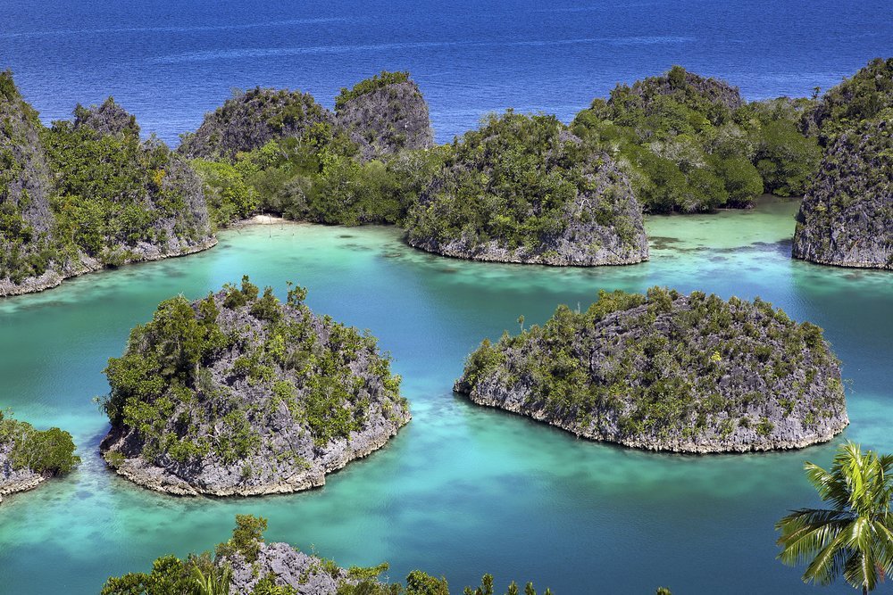 The Raja Ampat islands are world-famous dive sites