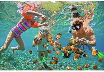 Bright reef fish will excite the children for hours
