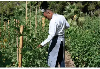 Le Blue Bay - Chef Marcel Ravin uses home-grown Mediterranean ingredients