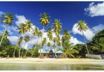 See a beach bar - drop anchor!