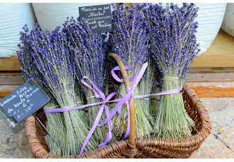 Immerse yourself in the scents and sights of the bustling markets in very port