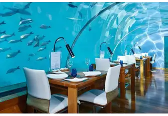 Shoals of fish swim by as you dine at the Ithaa Undersea Restaurant