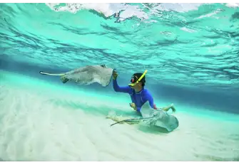 Tick 'swimming with rays' off your bucket list