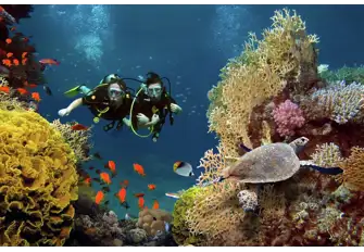 This is night diving taken to another level