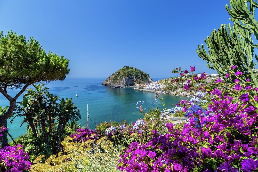 Bougainvillea frames this image of Sant'Angelo on Ischia