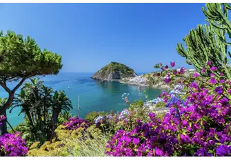 Bougainvillea frames this image of Sant'Angelo on Ischia