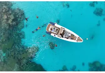 Whether diving or snorkelling, there is so much to see