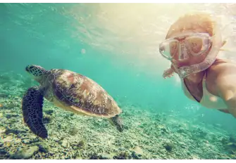 Andros Barrier Reef is a protected national park and home to a huge variety of widlife