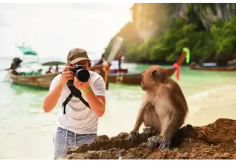 Meet the local wildlife