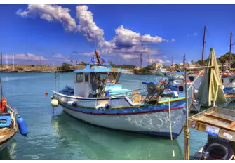 Bring home the catch of the day!