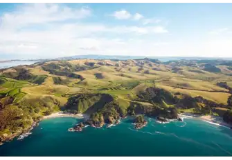 Vineyard in Waiheke, New Zealand