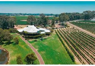 Vineyard in Margaret River, Australia