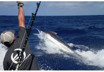 The sport fishing is amazing
