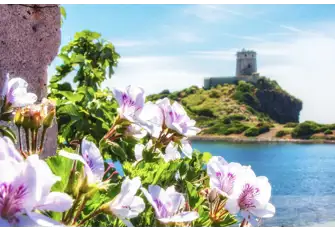 One of the Genovese towers that pepper the Corsican coast