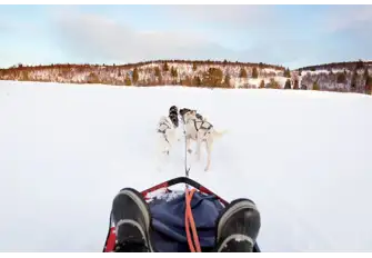 Or you could go old school and fire up the huskies for a sled tour