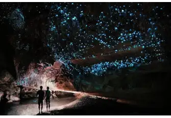There are magical natural scenes everywhere, like these glow worms illuminating Waipu Caves, just inland from the northern end of the Bay of Islands