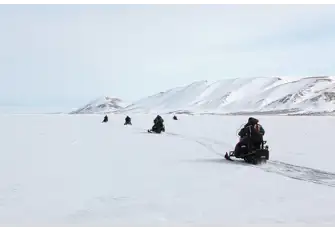 Find the local wildlife with a guided snowmobile tour