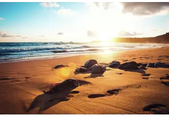 Spectacular sunsets