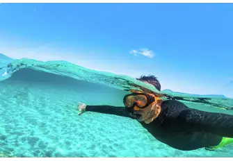 Discover the underwater world