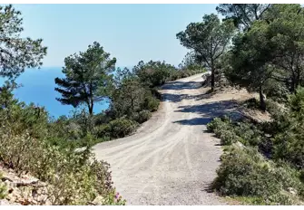 Serious hikers will grow familiar with the pine-scented interior