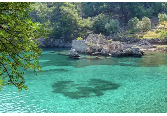 Swim off the 'Turquoise Coast' of Turkey to see turtles and dolphins