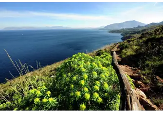 Vineyards in the Lo Zingaro Nature Reserve