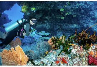 Everyone loves exploring caves, to do that underwater just adds to the adventure
