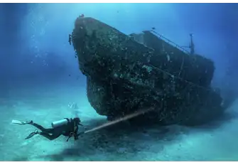 Wrecks are always atmospheric, great fun to penetrate and it's amazing to see how nature colonises a new habitat