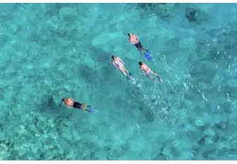 Colourful fish abound almost anywhere you can snorkel in the Maldives
