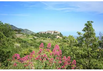 Drive through the dramatic Gorges du Loup to this medieval hilltop town