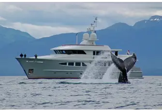 A yacht charter gives you a front-row seat in these giants' natural habitat