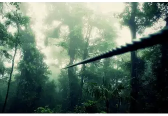 Fly through the canopy like Costa Rica's native macaws on a canopy zipwire