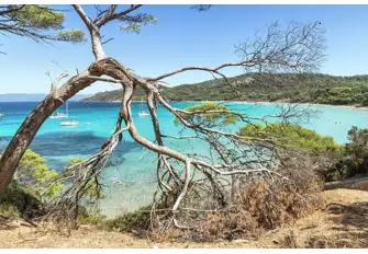 Plage Notre Dame is open to the north west, on the north eastern tip of île de Porquerolles