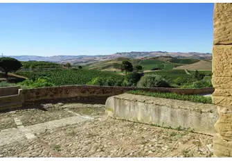 Vineyards on Tasca d'Almerita's Regaleali estate