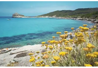 Lotu is another unspoilt remote beach nestled in nature